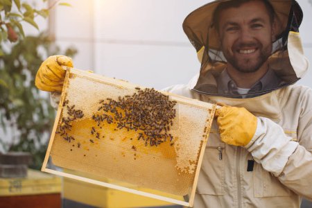 Téléchargez les photos : L'apiculteur tient une cellule à miel avec des abeilles dans ses mains. L'apiculture. Apiaire. Des abeilles qui travaillent sur le rayon de miel. Rayon de miel avec miel et abeilles close-up. - en image libre de droit