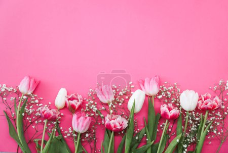 Foto de Tulipanes rosados y ramo de flores de gypsophila blanco sobre un fondo rosa. Día de las Madres, concepto de celebración de cumpleaños. Copia espacio para texto. Burla. - Imagen libre de derechos