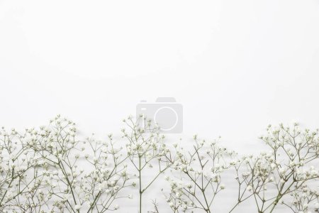 Photo for Floral composition with light, airy masses of small white flowers on turquoise white background, top view, frame. Gypsophila Baby's-breath flowers - Royalty Free Image