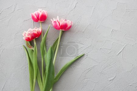 Foto de Ramo de tulipanes rosados sobre un fondo de piedra gris con estilo, enfoque selectivo. Día de las Madres, concepto de celebración de cumpleaños. Copiar espacio para texto - Imagen libre de derechos