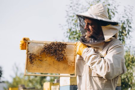 Der Imker hält eine Honigzelle mit Bienen in der Hand. Imkerei. Bienenstock. Arbeitsbienen auf Honigwaben. Wabe mit Honig und Bienen aus nächster Nähe.