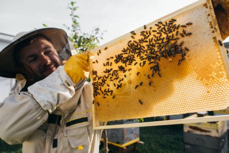 Téléchargez les photos : Closeup portrait of beekeeper holding a honeycomb full of bees. Beekeeper in protective workwear inspecting honeycomb frame at apiary. Beekeeping concept. - en image libre de droit