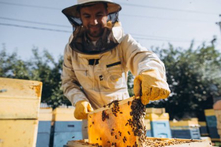 Téléchargez les photos : Portrait d'un apiculteur masculin heureux travaillant dans un rucher près des ruches avec des abeilles. Ramasse du miel. Apiculteur sur rucher. Concept apicole. - en image libre de droit