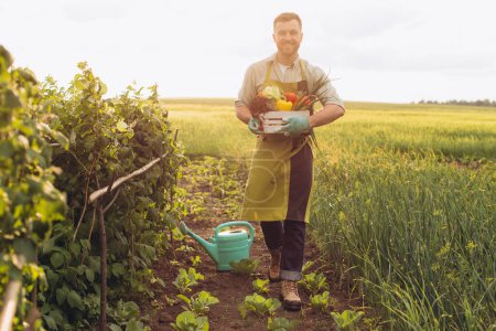 Téléchargez les photos : Heureux agriculteur homme panier d'exploitation avec légumes frais, concept de jardinage - en image libre de droit