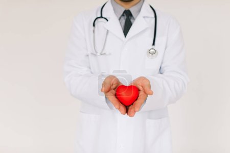 Photo for The male cardiologist doctor holding heart on white background - Royalty Free Image