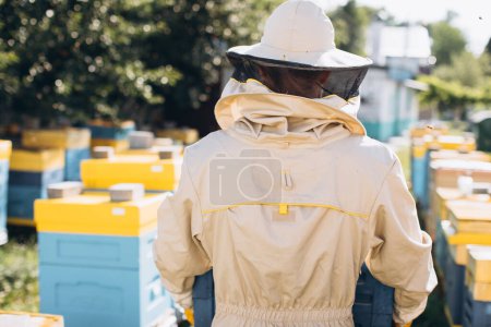 Photo for A male beekeeper in a protective suit holds a beehive in an apiary, back view - Royalty Free Image