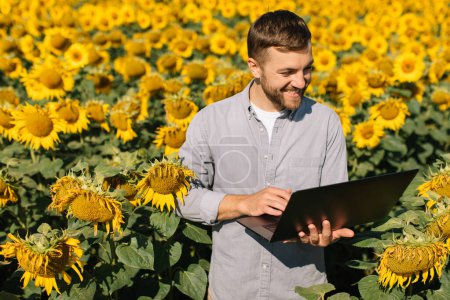 Téléchargez les photos : Agronomiste avec ordinateur portable inspecte la culture de tournesol dans le domaine agricole. - en image libre de droit