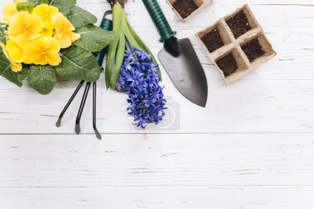 Téléchargez les photos : Outils de jardinage et fleurs sur fond de bois blanc vue de dessus. Accueil printemps jardinage passe temps. - en image libre de droit