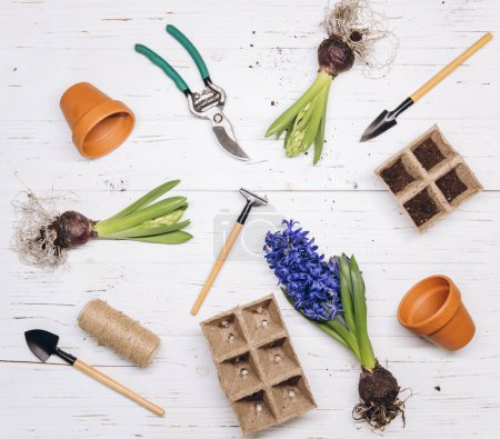 Foto de Herramientas y utensilios de jardinería sobre un fondo de madera blanco, vista superior, manteinance jardín, paisajismo y concepto hobby - Imagen libre de derechos
