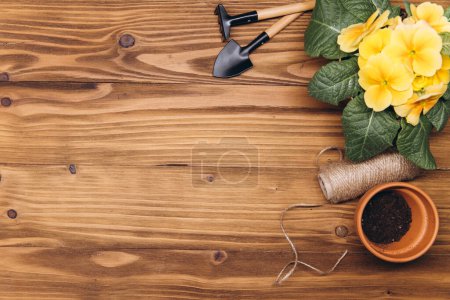 Photo for Gardening background. Hyacinth and primula flowers with garden tools on the wooden background. Top view with copy space. - Royalty Free Image