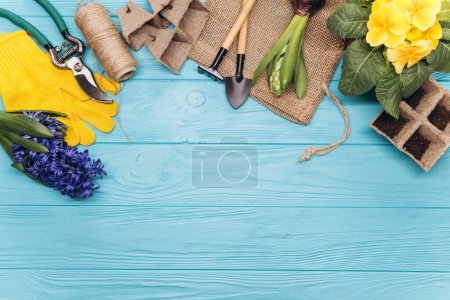 Photo for Gardening tools and flowers on blue wooden background top view. Home spring gardening hobbies. - Royalty Free Image