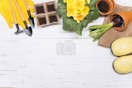 Gardening tools and flowers on white wooden background top view. Home spring gardening hobbies.