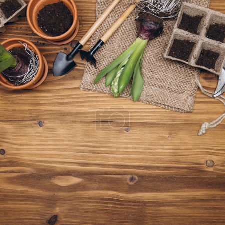 Photo for Gardening tools and flowers on the wooden background top view. Home spring gardening hobbies. - Royalty Free Image
