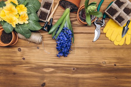 Téléchargez les photos : Composition avec fleurs et outils de jardinage avec espace pour le texte sur le fond en bois - en image libre de droit