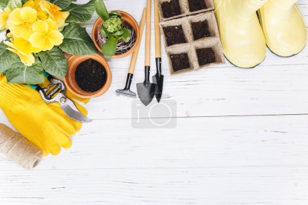 Téléchargez les photos : Outils de jardinage et fleurs sur fond de bois blanc vue de dessus. Accueil printemps jardinage passe temps. - en image libre de droit