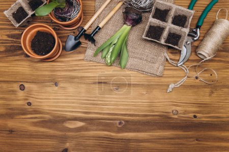 Photo for Gardening tools and flowers on the wooden background top view. Home spring gardening hobbies. - Royalty Free Image
