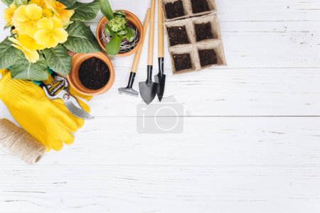 Gartengeräte und Blumen auf weißem Holzhintergrund von oben. Hobbygärtner im Frühling.