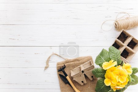Foto de Herramientas de jardinería y flores sobre fondo de madera blanca vista superior. Casa primavera jardinería aficiones. - Imagen libre de derechos
