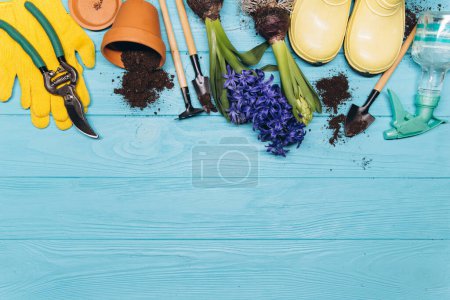 Téléchargez les photos : Outils de jardinage et fleurs sur fond bleu bois vue de dessus. Accueil printemps jardinage passe temps. - en image libre de droit