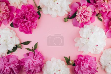Foto de Peonías rosadas y blancas sobre un fondo rosa pastel, espacio para copiar, plano, tarjeta de felicitación. - Imagen libre de derechos