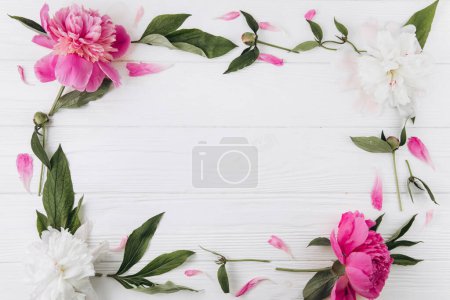Téléchargez les photos : Pivoines roses et blanches sur un fond en bois blanc, espace de copie, pose plate, carte de vœux. - en image libre de droit