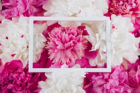 Foto de Composición de peonías blancas y rosadas y marco blanco vacío con espacio de copia, hermoso fondo floral, moda, glamour, puesta plana - Imagen libre de derechos