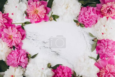 Foto de Peonías rosadas y blancas sobre fondo de mármol blanco, espacio para copiar, plano, tarjeta de felicitación. - Imagen libre de derechos