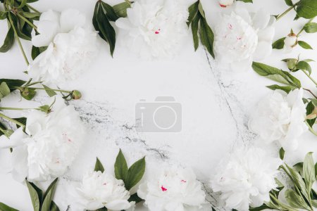 Téléchargez les photos : Pivoines blanches sur fond de marbre blanc, espace de copie, plat, carte de vœux. - en image libre de droit