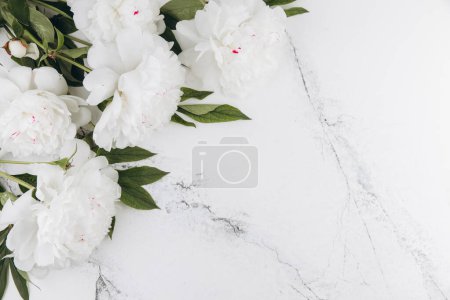 Photo for White peonies on a white marble background, copy space, flat lay, greeting card. - Royalty Free Image