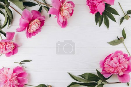Foto de Peonías rosadas y blancas sobre fondo de madera blanca, espacio para copiar, plano, tarjeta de felicitación. - Imagen libre de derechos