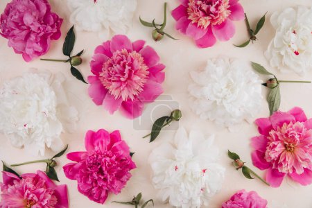 Foto de Patrón de flores de peonía rosa y blanca sobre fondo pastel. Textura peonía. Piso tendido, vista superior. - Imagen libre de derechos