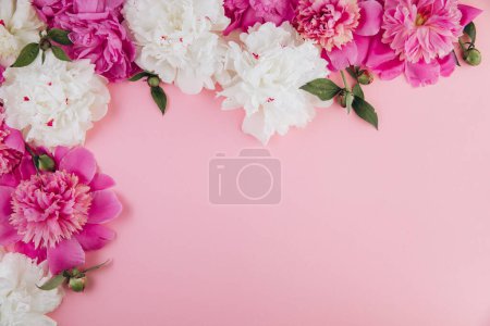 Foto de Composición de flores. Frontera hecha de flores de peonía rosa y blanca sobre fondo pastel. Acostado. Vista superior con espacio de copia - Imagen libre de derechos