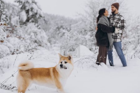 Téléchargez les photos : Joyeux jeune couple avec chien akita en forêt en hiver et journée enneigée - en image libre de droit