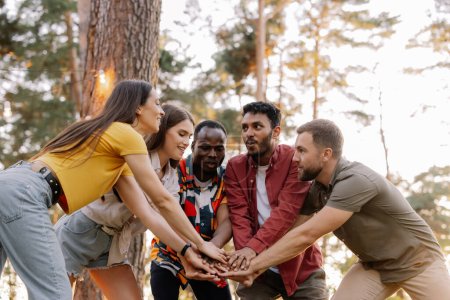 Photo for Multiracial group of people, friends give high five and having fun on the picnic - Royalty Free Image