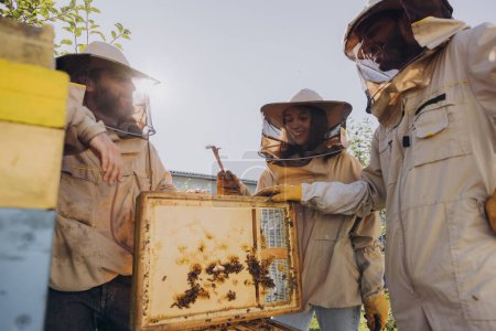 Interracial team of beekeepers working to collect honey. Organic beekeeping concept. Bee queen hive.