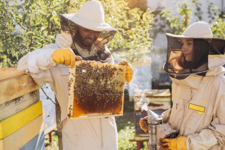 Foto de Equipo internacional de apicultores felices, el hombre saca un marco de madera de una colmena y una mujer tiene fumador - Imagen libre de derechos