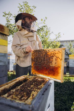 El apicultor barbudo saca el marco con las abejas y la miel de la colmena en la granja de la abeja. El concepto de apicultura