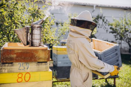 Téléchargez les photos : Apiculteur déplace une ruche dans le jardin d'une ferme apicole, concept apicole - en image libre de droit