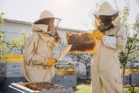 Photo for Couple of beekeepers working with a wooden frame near a beehive in beekeeping - Royalty Free Image