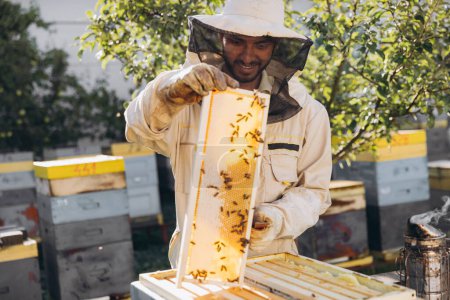 Téléchargez les photos : Apiculteur enlevant les rayons de miel de la ruche. Une personne en costume d'apiculteur prenant du miel dans une ruche. Fermier portant un costume d'abeille travaillant avec nid d'abeille dans le rucher - en image libre de droit