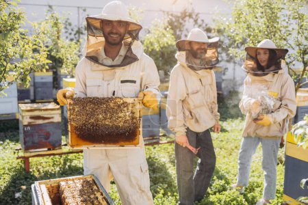 Téléchargez les photos : Des apiculteurs qui collectionnent le miel. Apiculteur souriant tenant un cadre en bois avec du miel et des abeilles - en image libre de droit