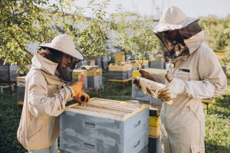 Foto de Dos apicultores trabajan con panal lleno de abejas, en uniforme protector trabajando en una pequeña granja de colmenas - Imagen libre de derechos