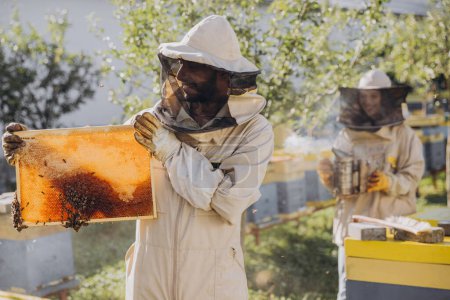 Foto de Apicultor indio feliz en un uniforme parado en apiary y sosteniendo un marco de la abeja en granja de las abejas - Imagen libre de derechos