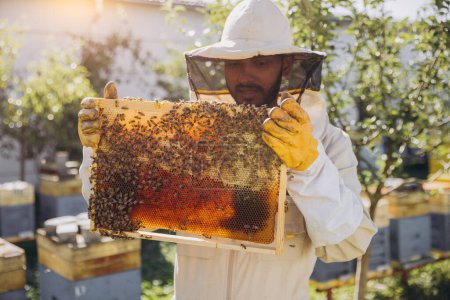 Téléchargez les photos : Heureux apiculteur indien sort un cadre avec des abeilles et du miel d'une ruche sur une ferme apicole. Le concept d'apiculture - en image libre de droit