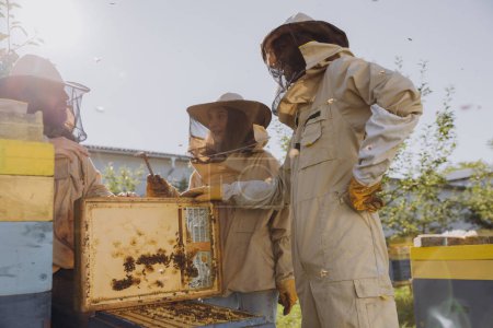 Foto de Equipo interracial de apicultores que trabajan para recolectar miel. Concepto de apicultura orgánica. Colmena reina de abejas. - Imagen libre de derechos
