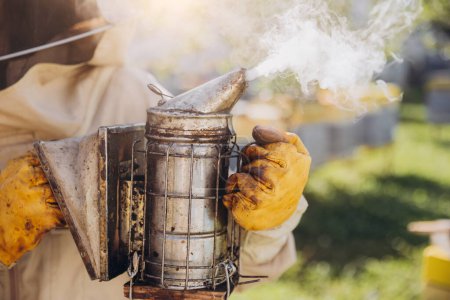 Téléchargez les photos : Gros plan de l'apiculteur exploitant fumeur dans une exploitation apicole - en image libre de droit