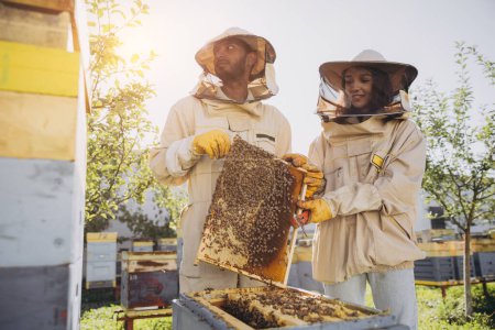 Foto de Pareja de apicultores, hombre y mujer, sacando el marco con abejas de la colmena en la granja de abejas - Imagen libre de derechos