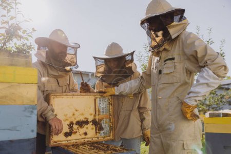 Equipo interracial de apicultores que trabajan para recolectar miel. Concepto de apicultura orgánica. Colmena reina de abejas.