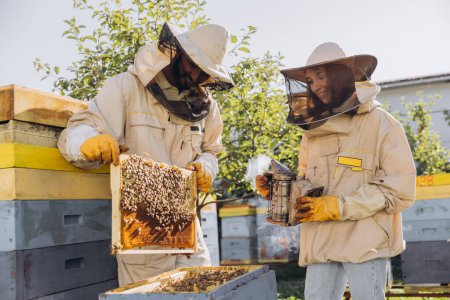 Foto de Equipo internacional de apicultores felices, el hombre saca un marco de madera de una colmena y una mujer tiene fumador - Imagen libre de derechos