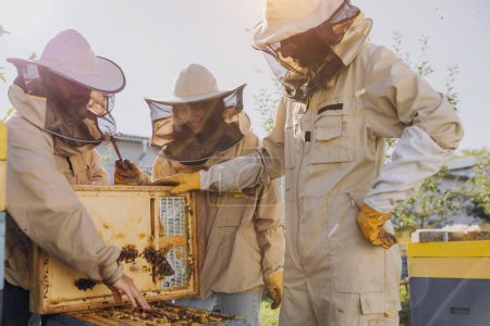 Équipe interraciale d'apiculteurs travaillant à la collecte du miel. Concept d'apiculture biologique. Abeille reine ruche.
